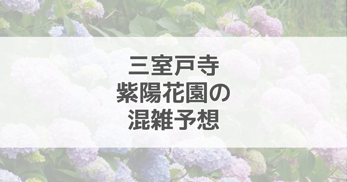 三室戸寺紫陽花園の混雑予想2024！駐車場情報も紹介