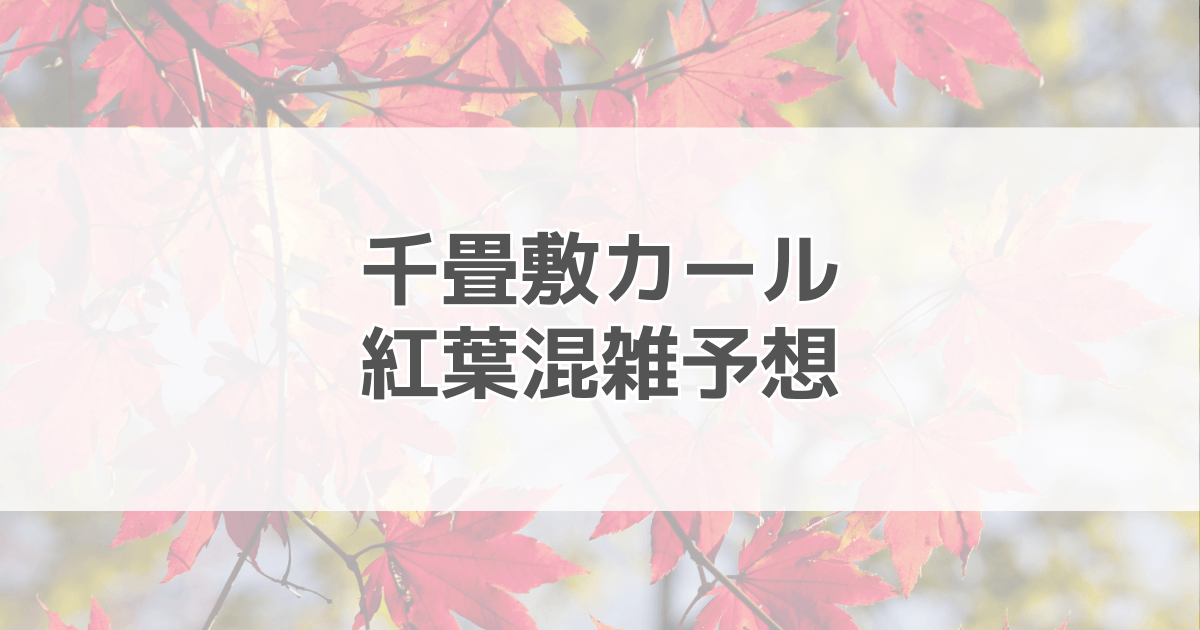 千畳敷カール紅葉の混雑予想2024！平日でも混む？駐車場情報も紹介