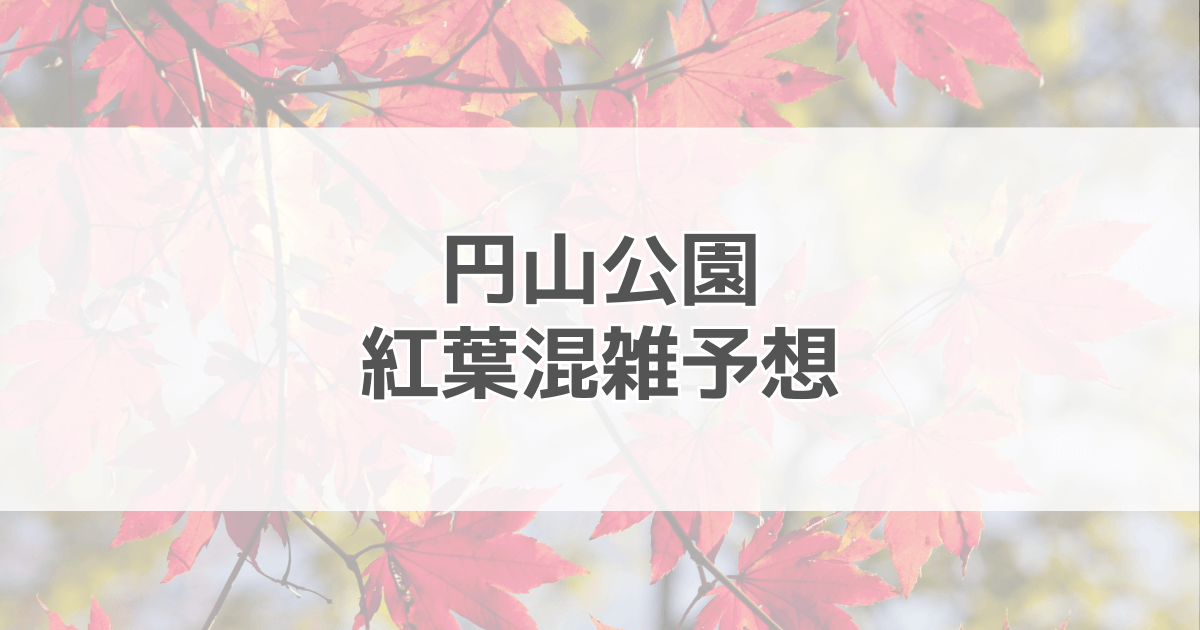 円山公園紅葉の混雑予想2024！駐車場情報も紹介