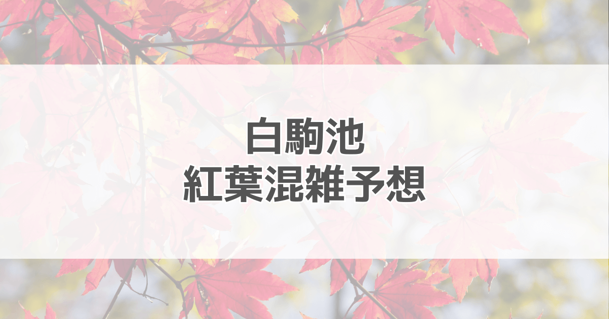 白駒池（白駒の池）紅葉の混雑予想2024！例年の見頃やアクセスも紹介