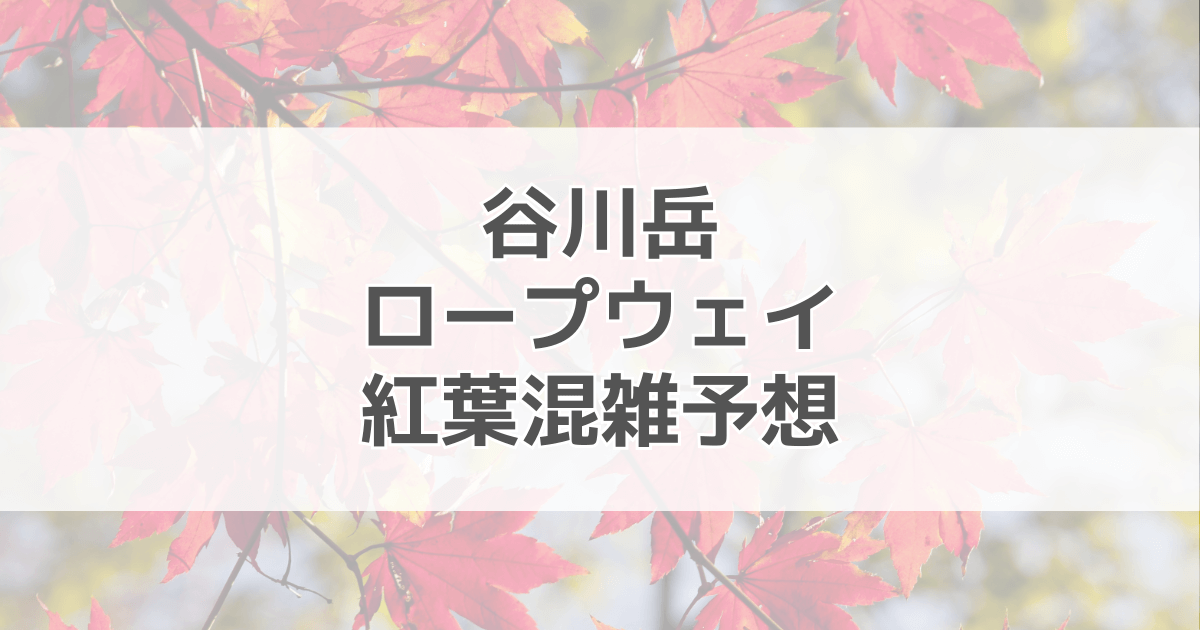 谷川岳ロープウェイ紅葉の混雑予想2024！駐車場情報も紹介