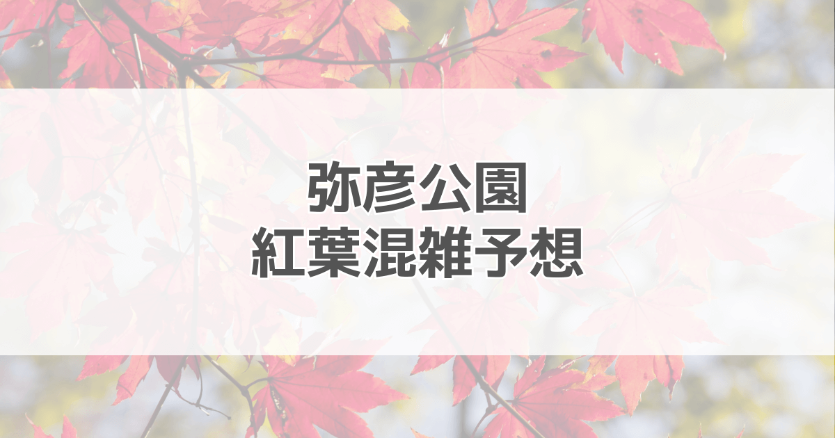 弥彦公園紅葉の混雑予想2024！駐車場情報も紹介