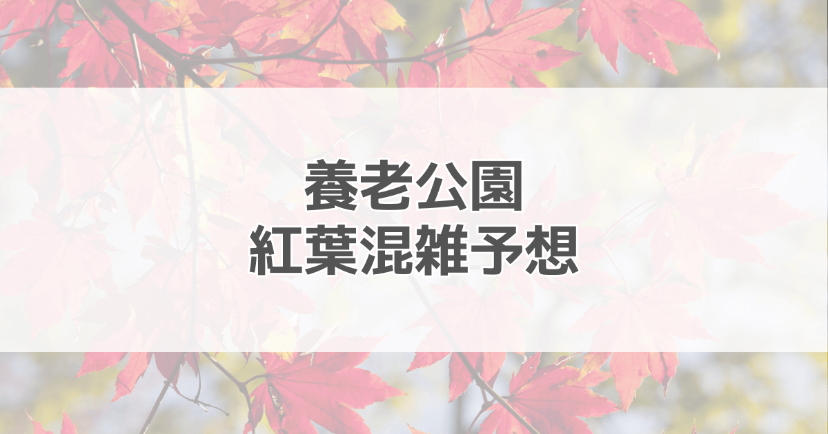 養老公園紅葉の混雑予想2024！駐車場情報も紹介