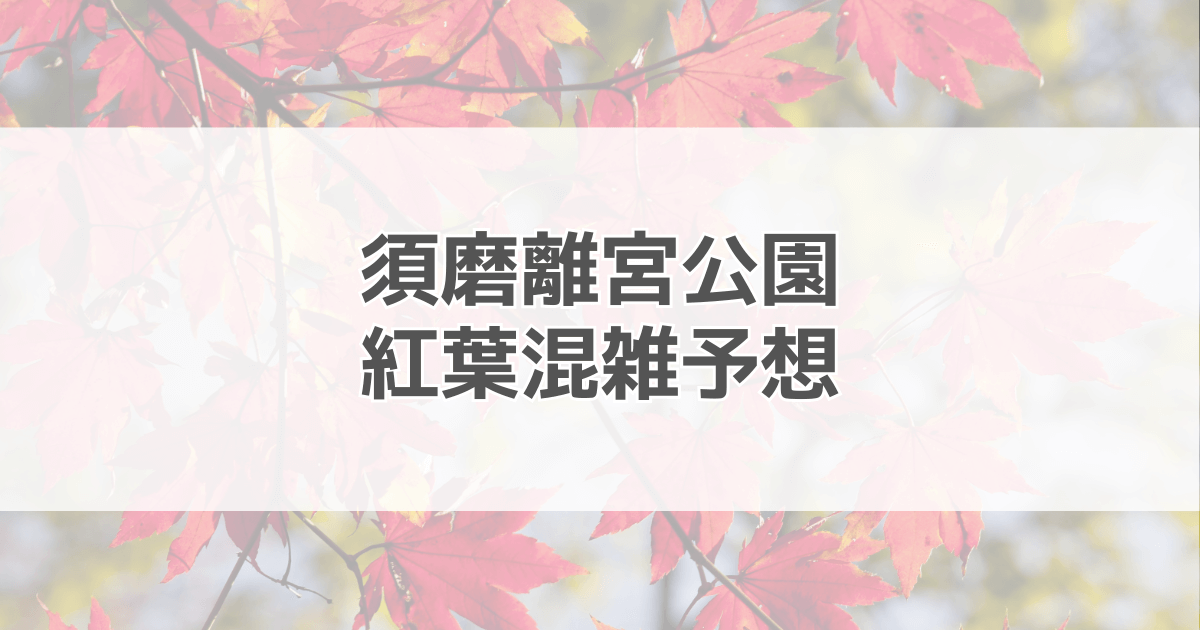 須磨離宮公園紅葉の混雑予想2024！駐車場情報も紹介